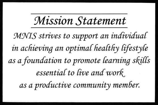 MNIS Mission