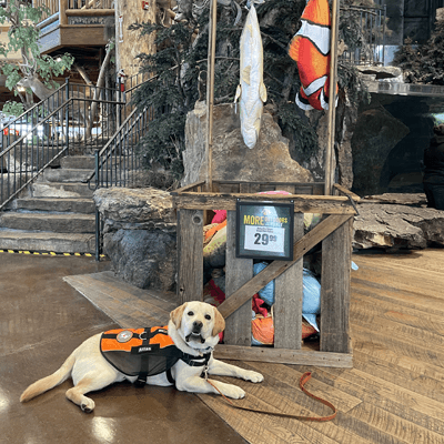 IHDI Dogs Have Adventures at Bass Pro Shops