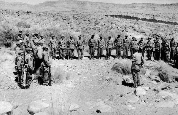 Algerian Soldiers