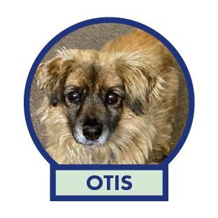 Otis