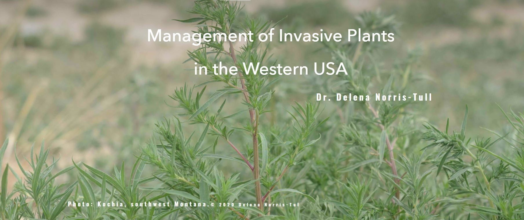 Montana Biocontrol Interview: Melissa Maggio