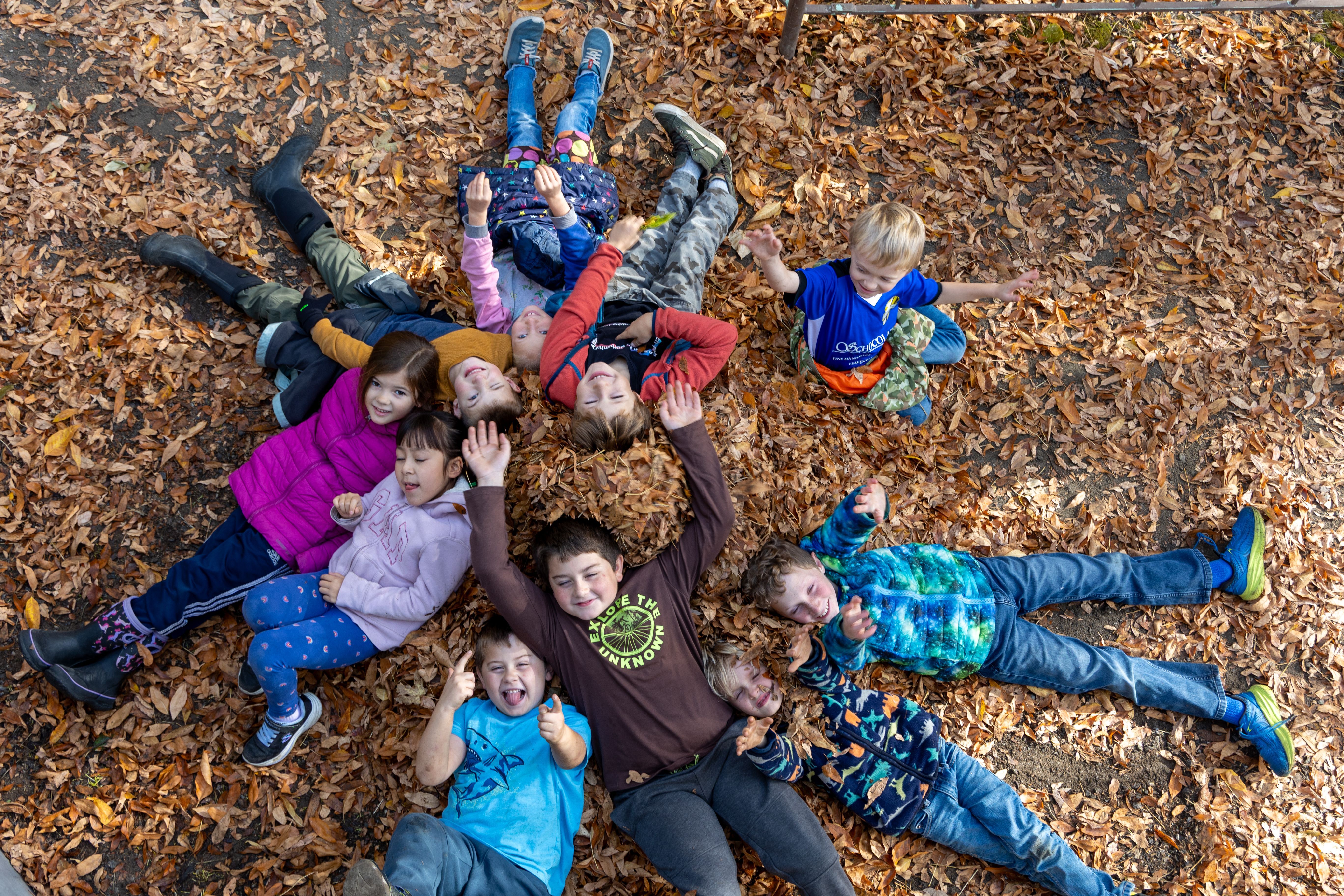 A group of students laying in the fallen leaves smiling at the camera.