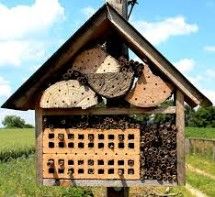 Nests for Native Bees