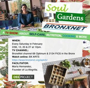 BronxNet February episodes