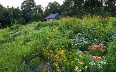 Creating Habitat