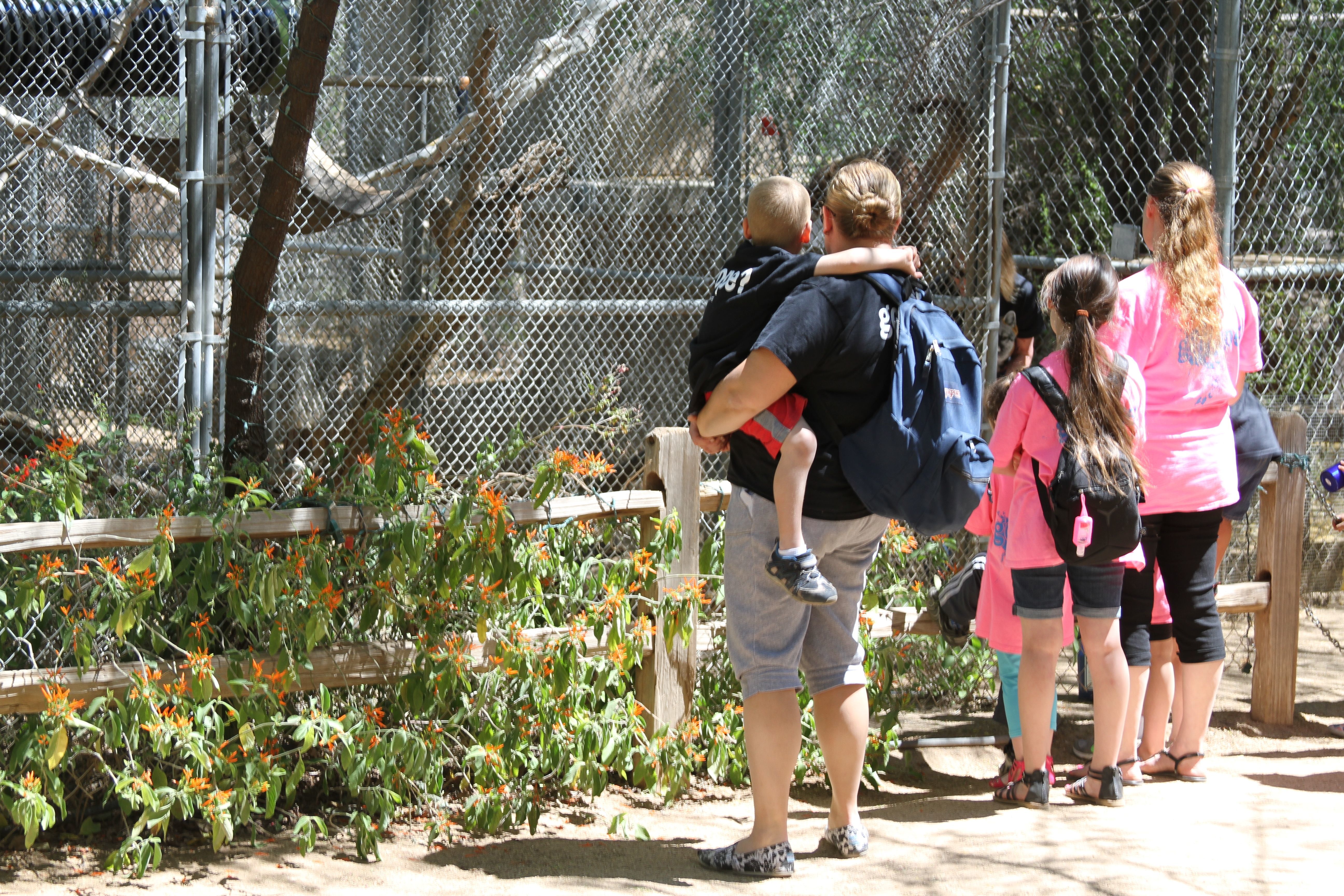 Southwest Wildlife Family Day