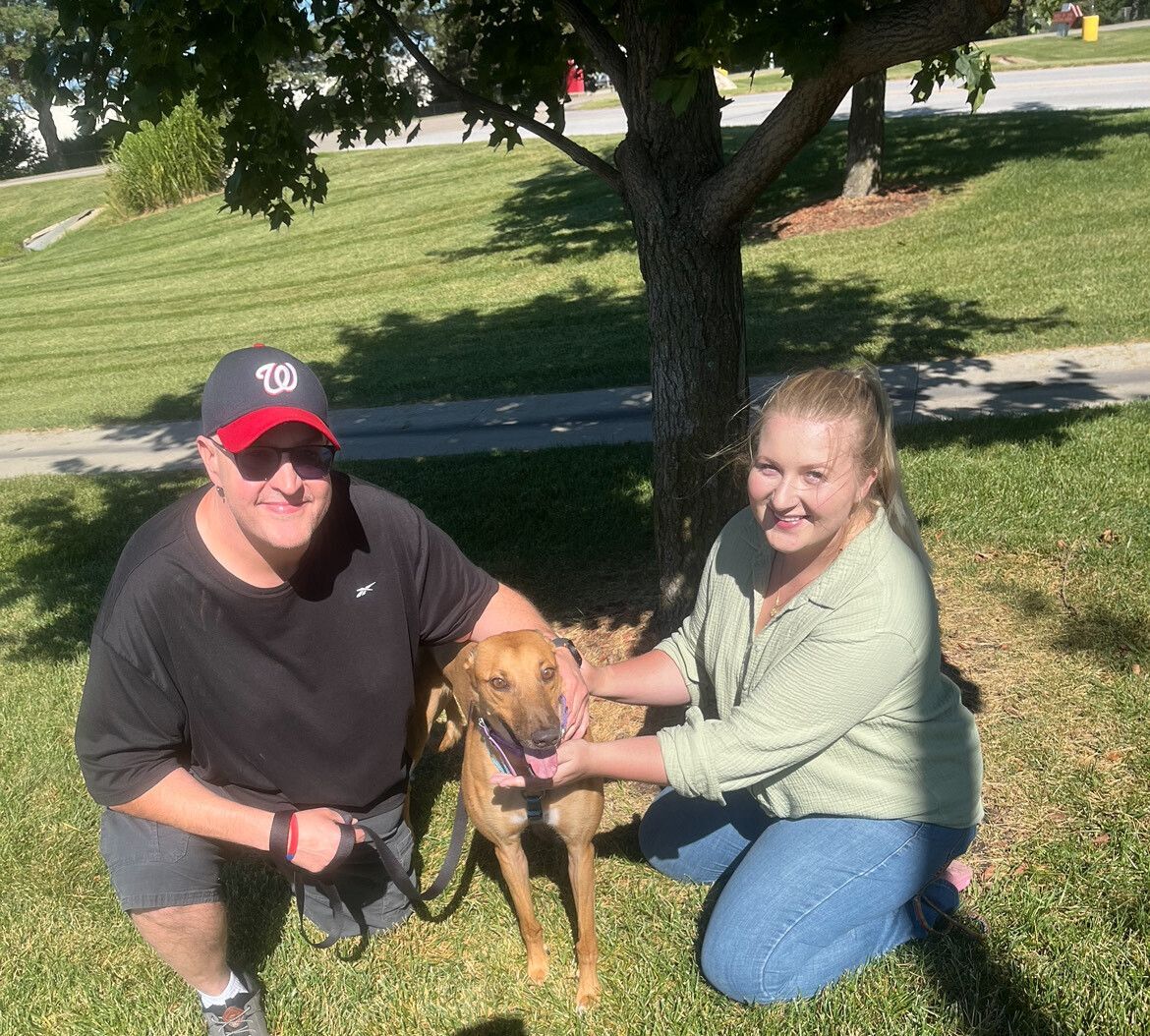 Beyond the "Gotcha Day": Meet Your Greyt Pals