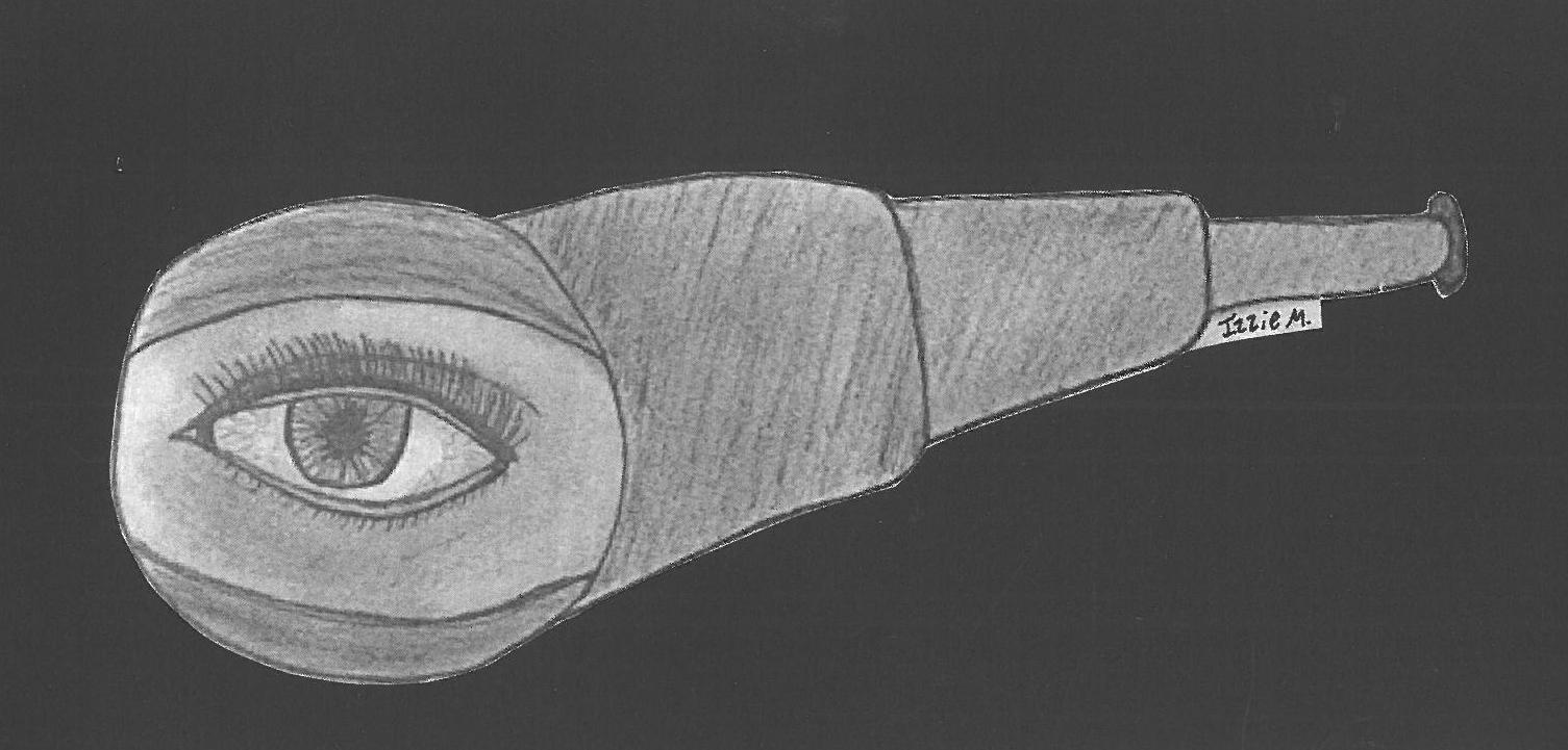 Head to Toe: Eye