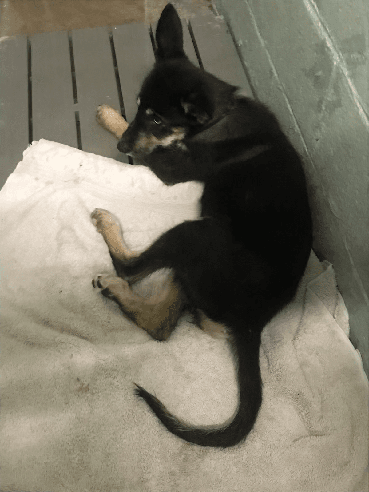 URGENT: Twix