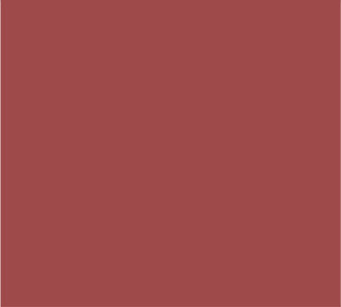 Brick - 1 Gallon - Recycled Paint
