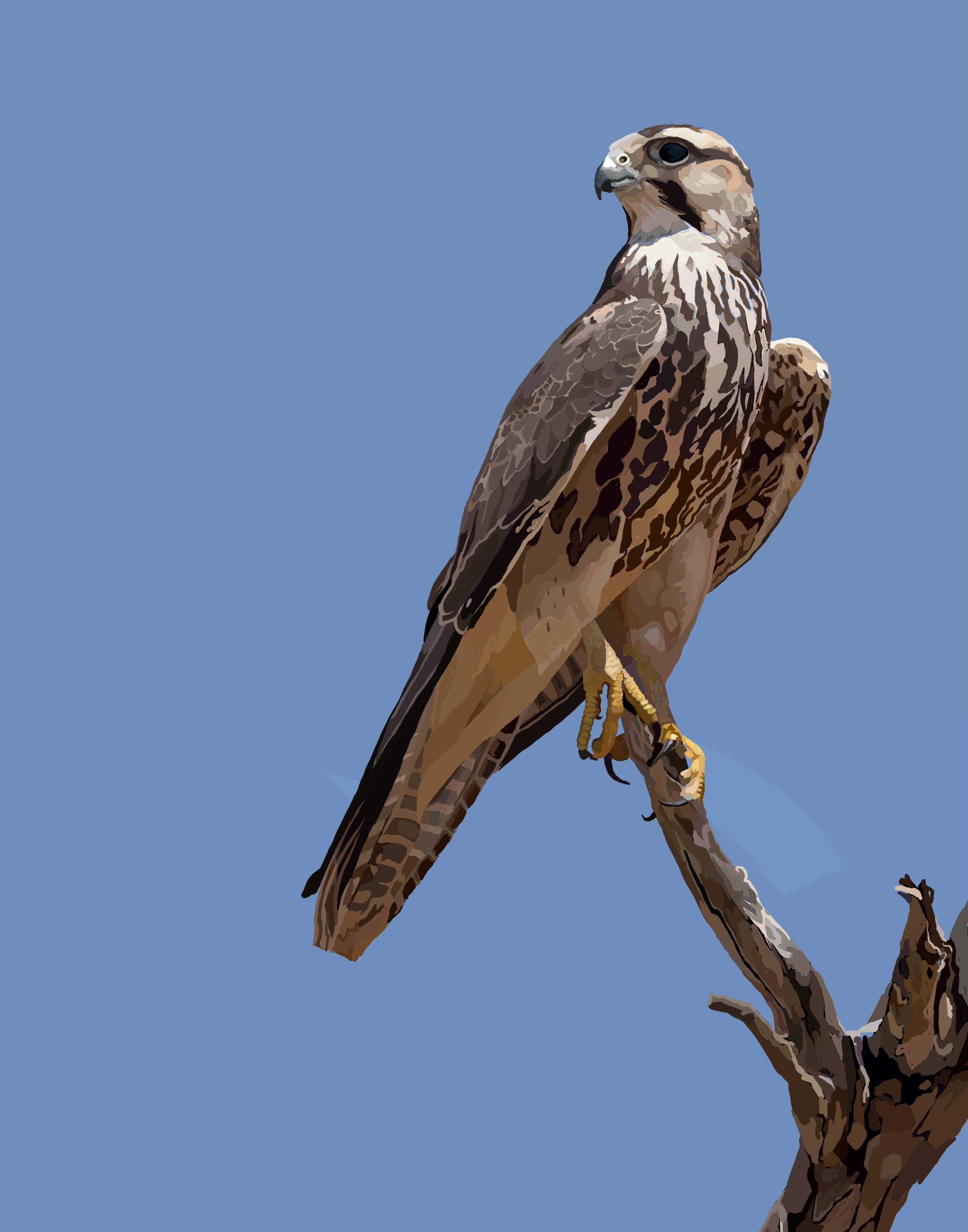 Superintendent of Schools, MCSD