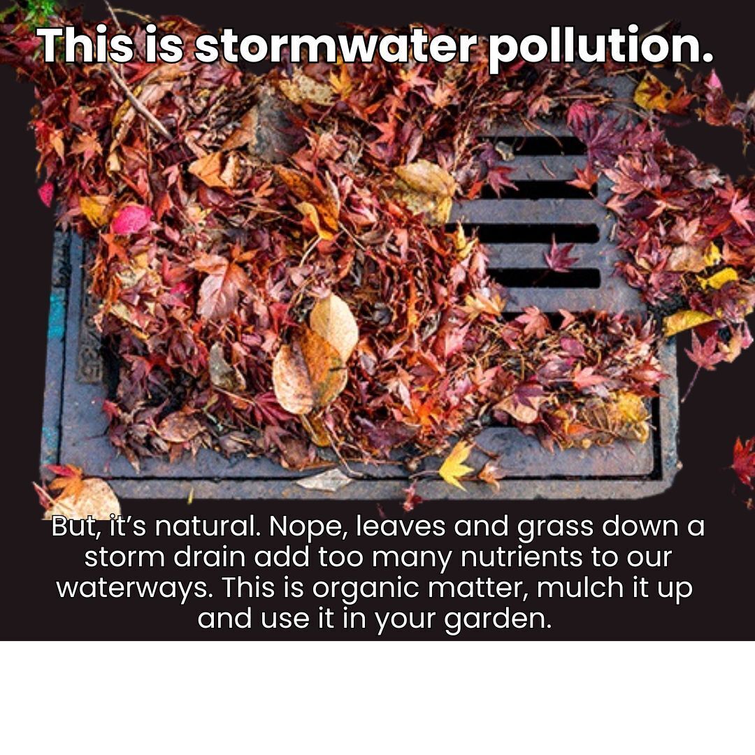 Stormwater Awareness Week!