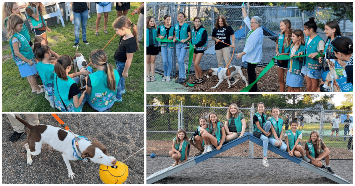 Play Yard Created by Girl Scouts is Doggone Success