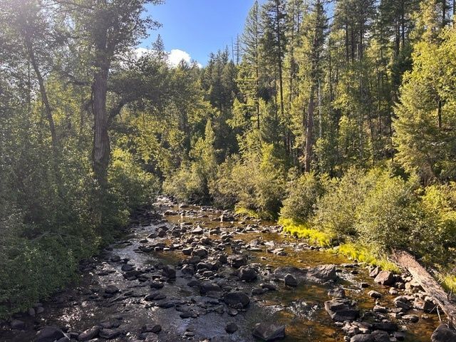 A crew of a mountain creek