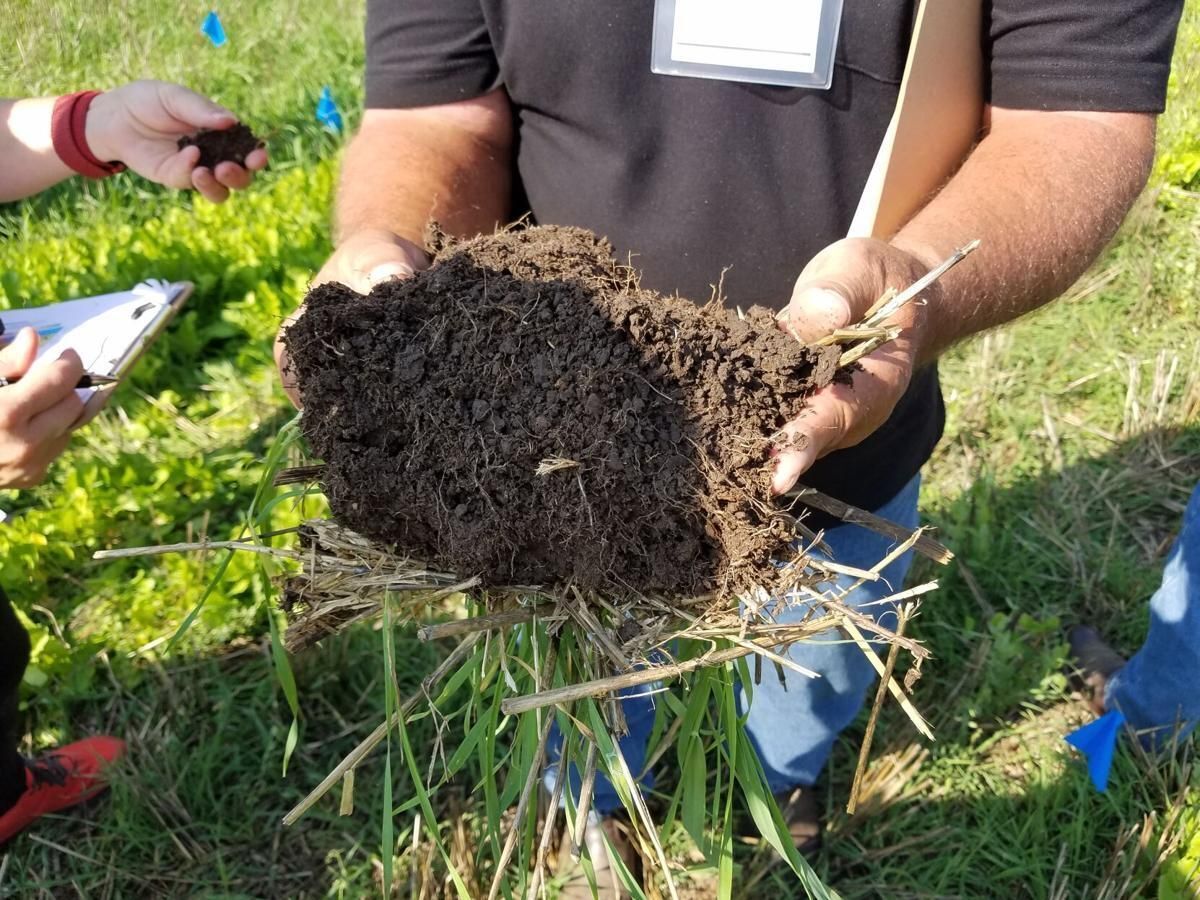 Individual holding a handfull of soil from a pasture