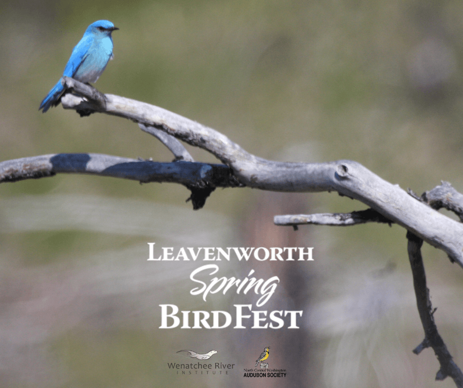 February 25th E-Newsletter