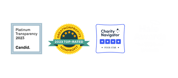 Great Nonprofits 2020 Top Rated Nonprofit & Guidestar Platinum Seal of Transparency 2020 & ARM Member