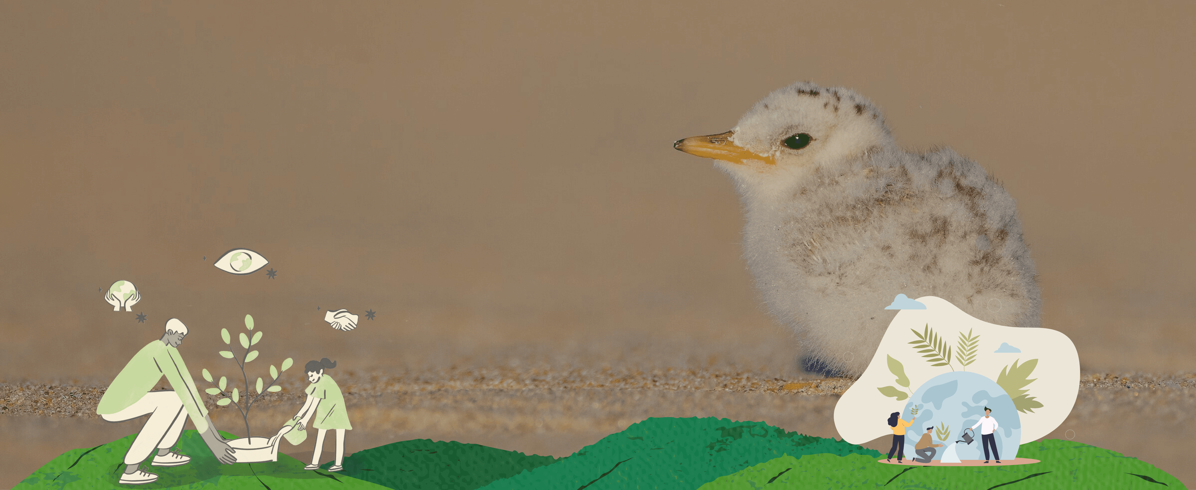 We're hiring a Conservation Manager!