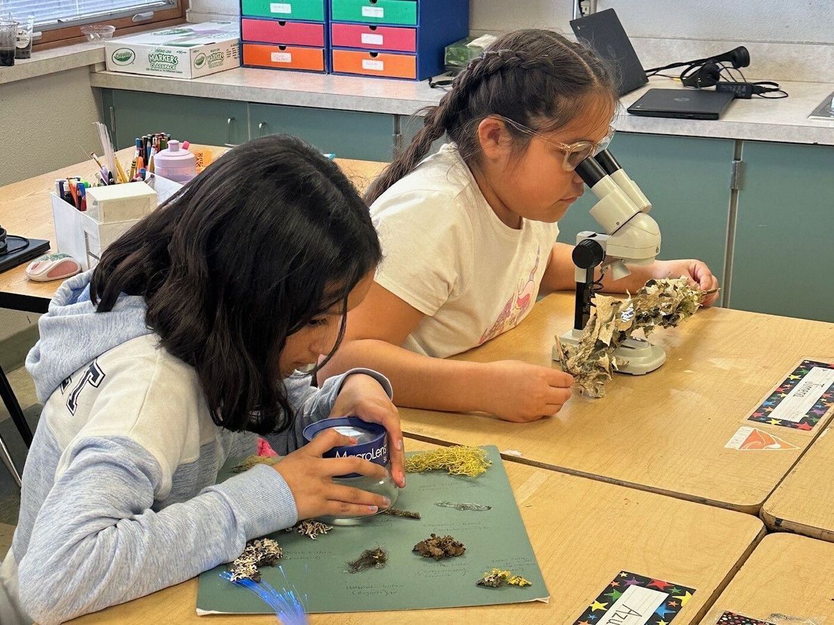 Two students making observations of some natural items in their classroom using a stereoscope and hand lens.