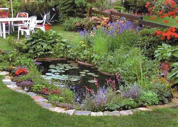 Tips for Backyard Ponds