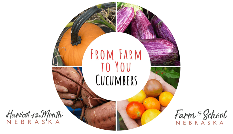 Farm to you - Cucumbers, Green School Farms