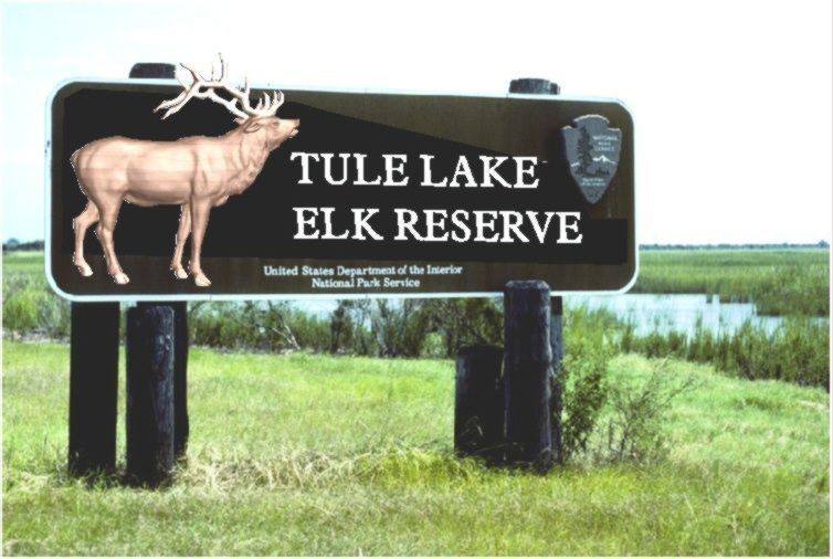 M4840 - Two 12" Diameter Round Cedar Wood Log  Posts Supporting  a Large Wood Tule Lake Reserve Sign, with Four Shorter Posts for Rustic  Appearance . 