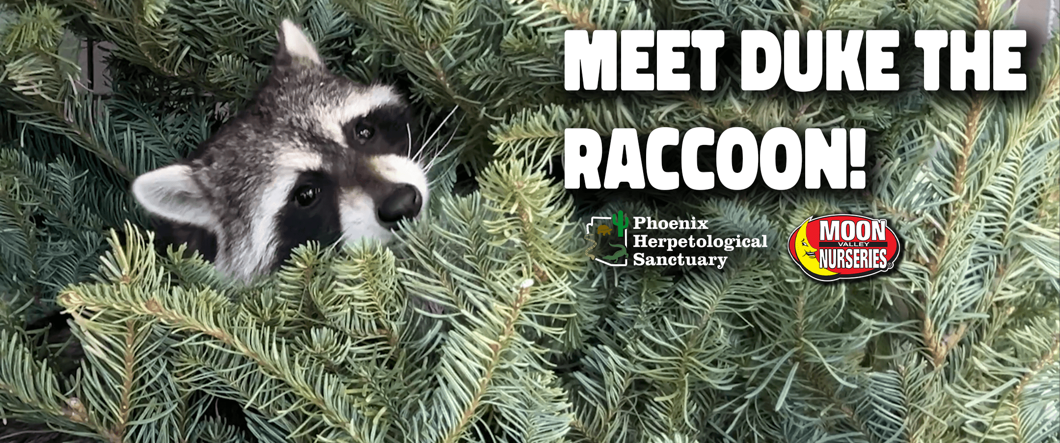 New Video on YouTube!