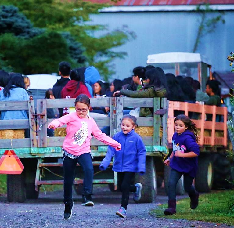 Fall Harvest Weekends