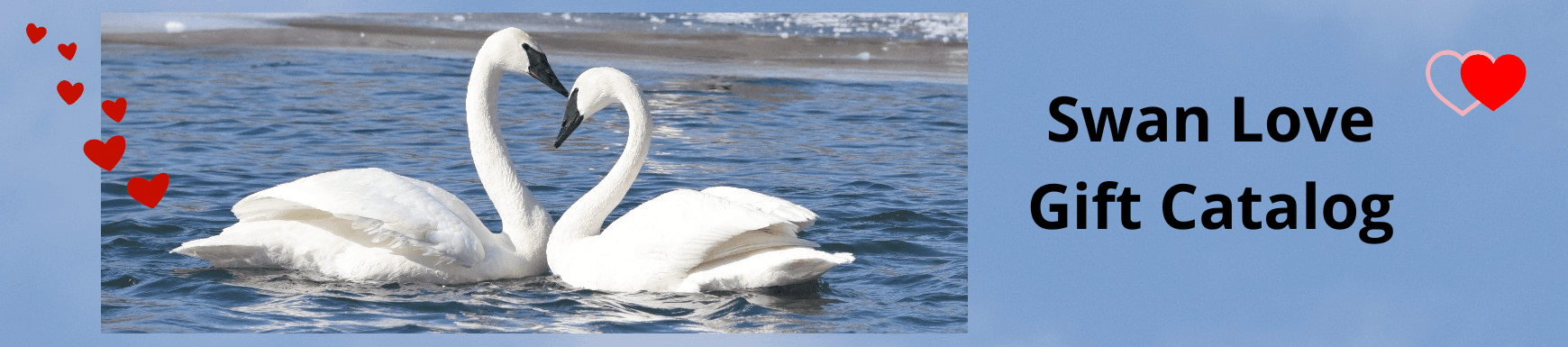 Swan Love Gift Catalog 