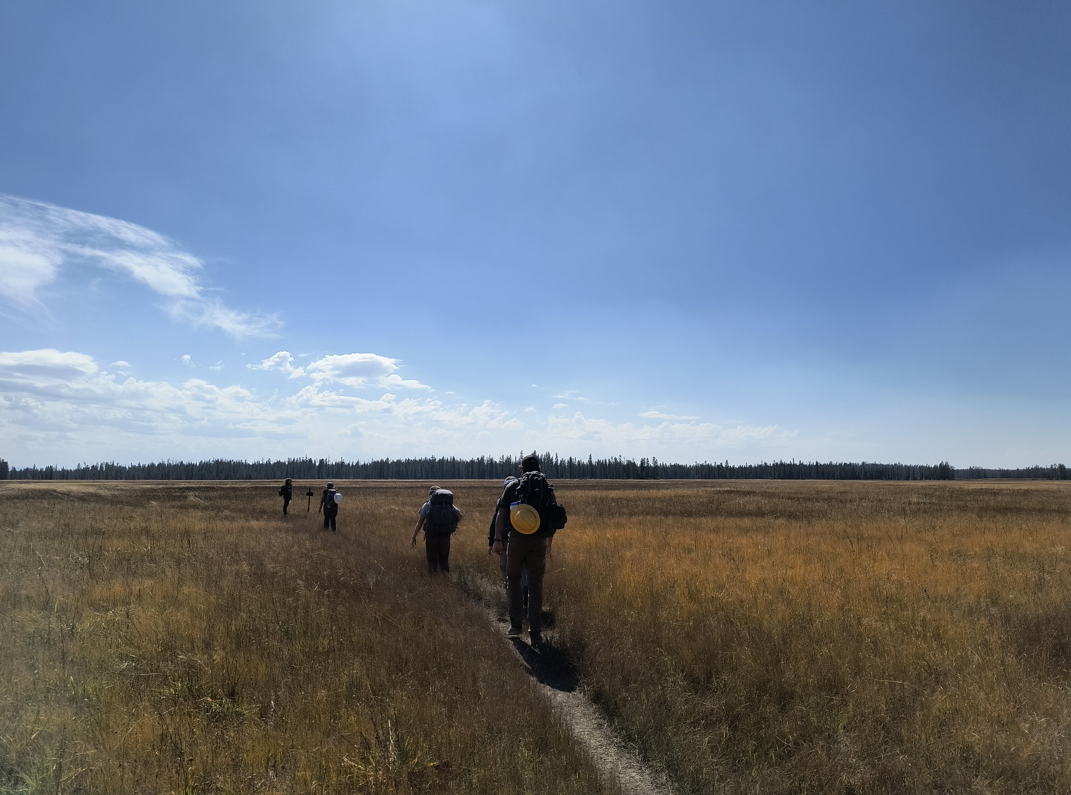 Crew members walking down a trail in the middle of a grassy field