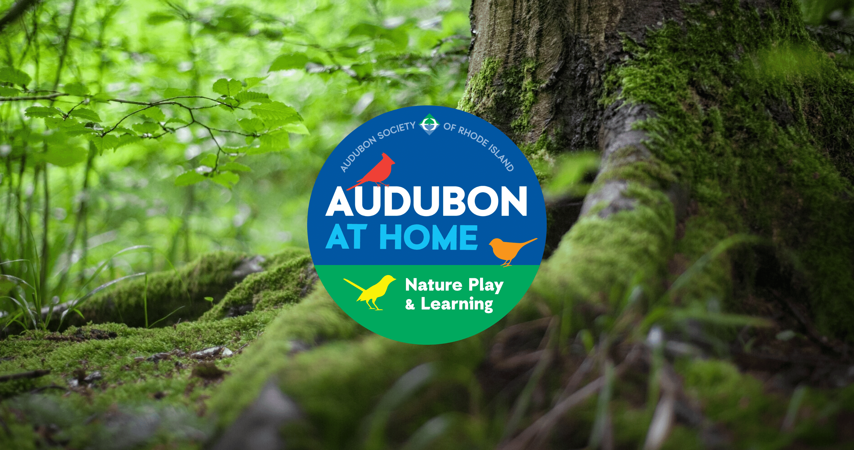 Audubon Society of Rhode Island, Nature Shop