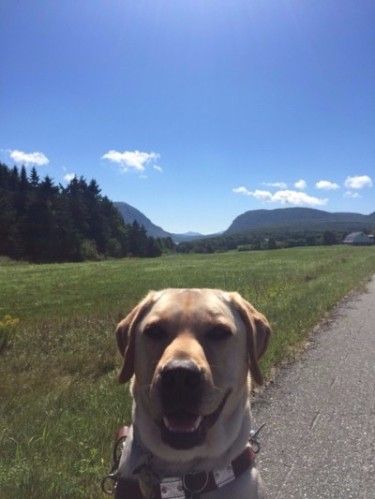 Alvin with Mt. Pisgah and Mt. Hor in the background, Westmore, Vermont, August 23