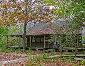 Edith Moore cabin