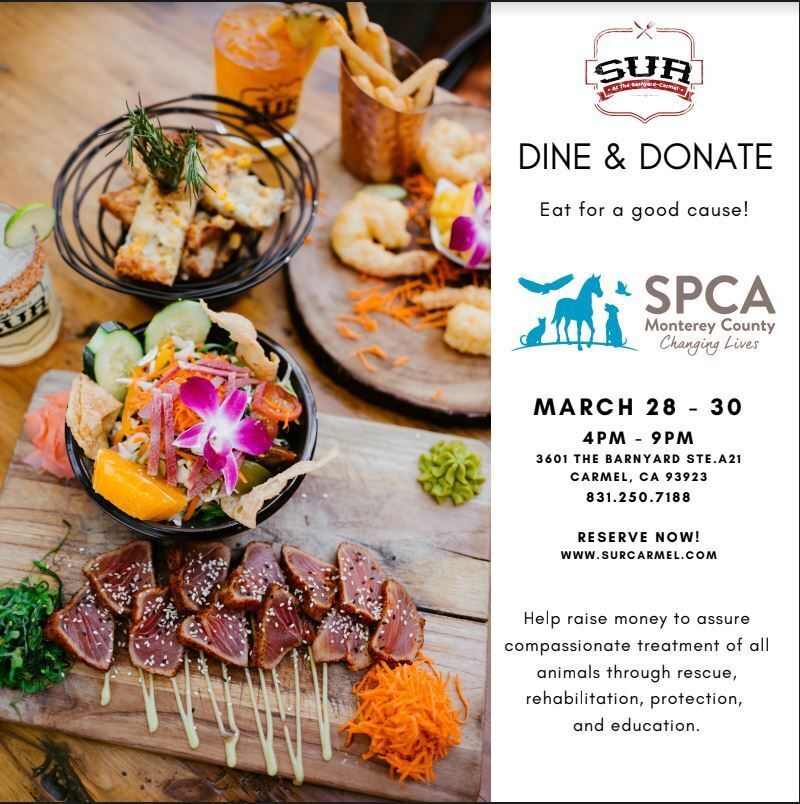 Sur restaurant Dine & Donate to benefit SPCA Monterey County