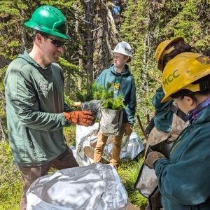 Forestry Projects with the Kootenai National Forest