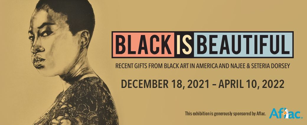 Black Is Beautiful: Recent Gifts from Black Art In America and Najee & Seteria Dorsey