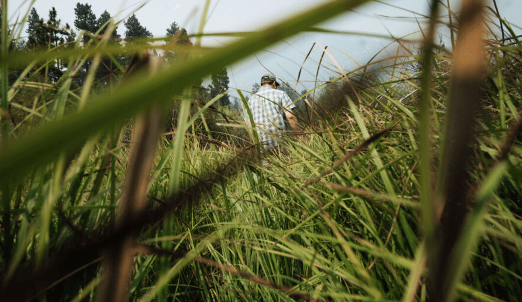 Wetland restoration is a success