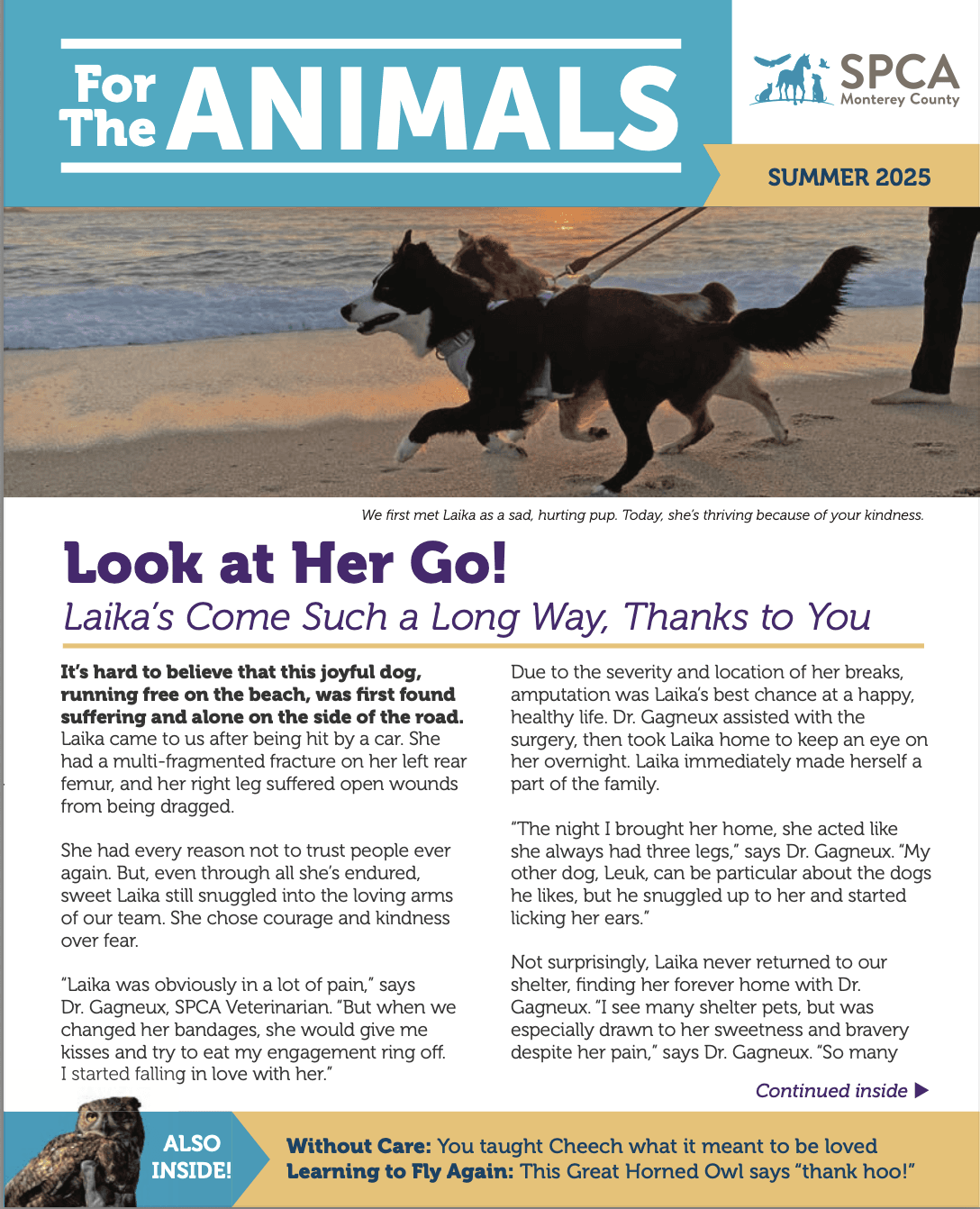 Summer 2025 Newsletter