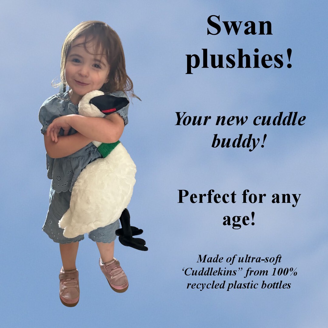 Plushie -15" Trumpeter Swan! USA shipping included