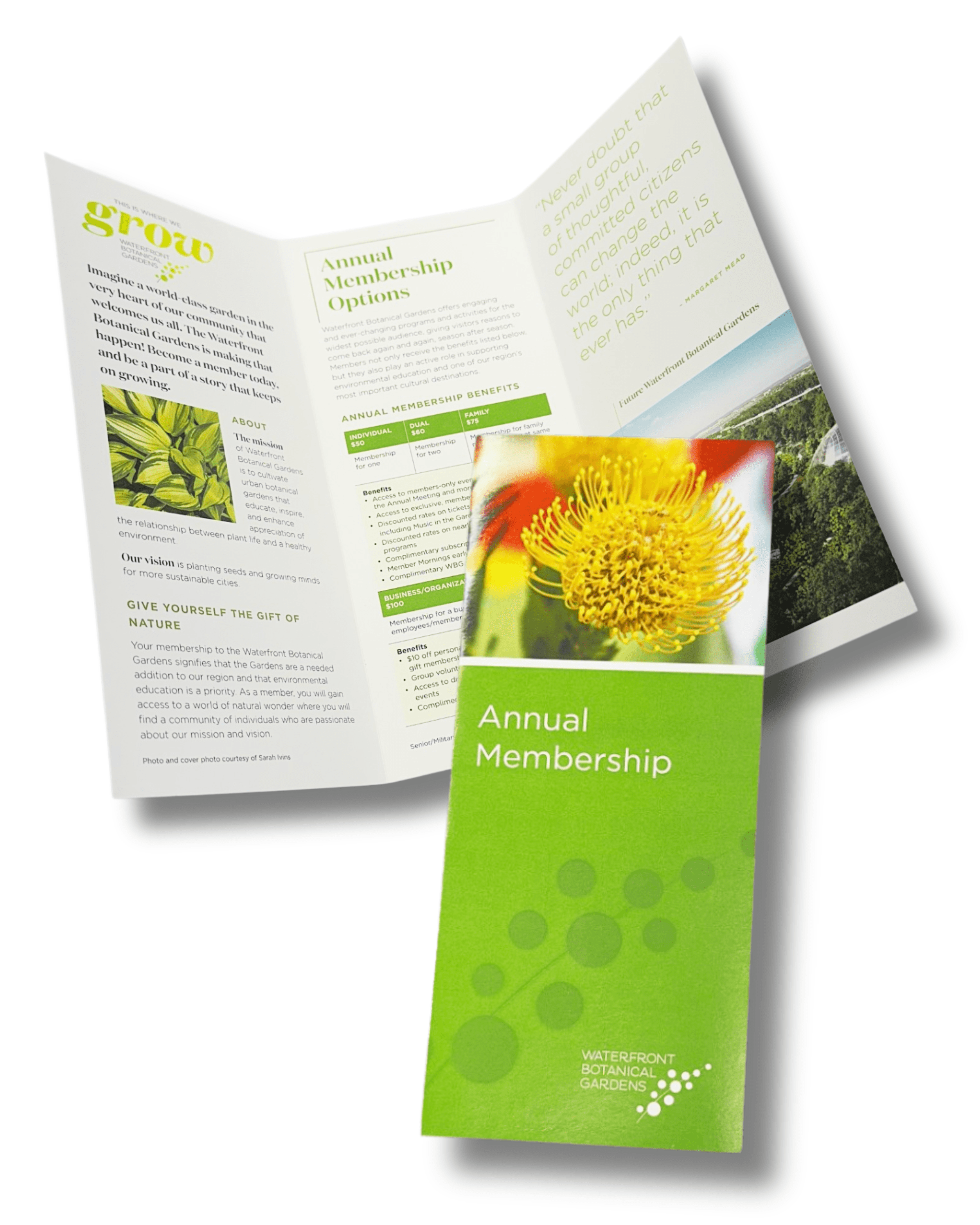 Brochures