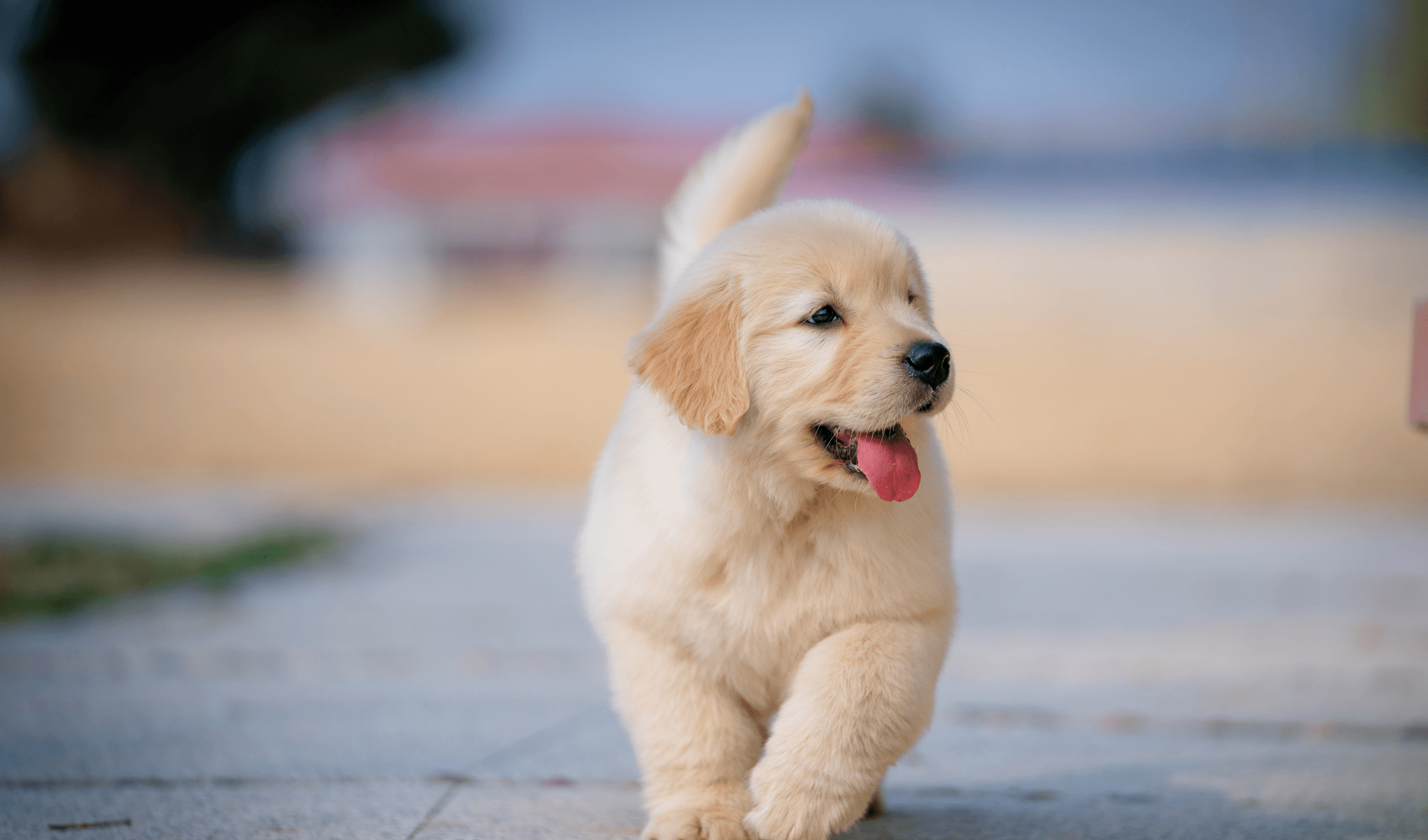 Do something satisfying with your free time.