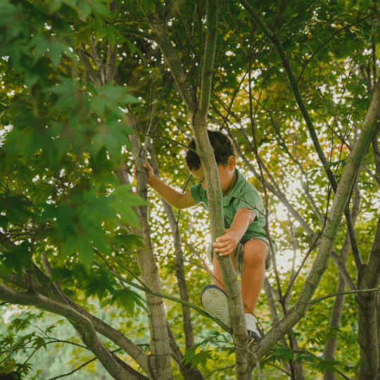 Creating Healthier Communities Through Tree Planting