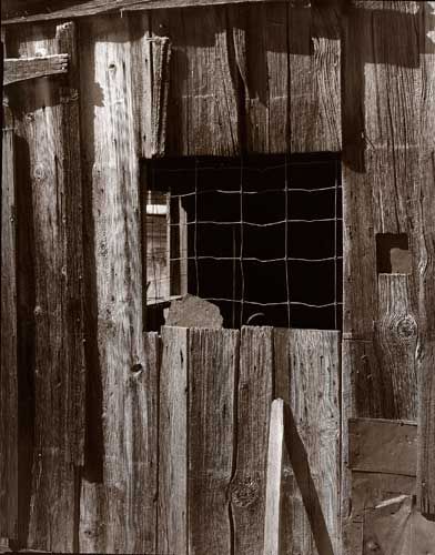 Through the Window, Carbon Transfer Contact Print, 10" x 8"