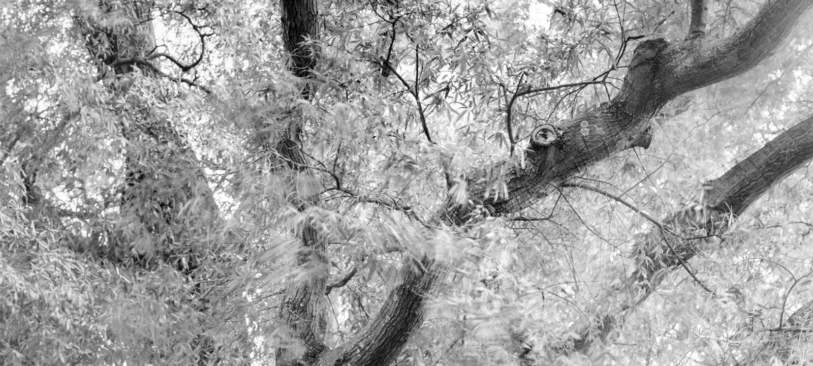 Photographs by Amanda Sauer