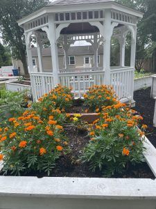 White gazebo with orange flowers.