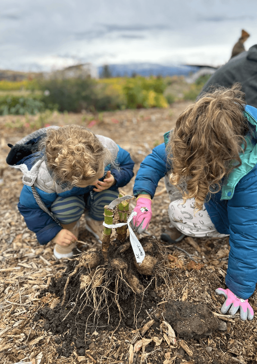 Monthly Volunteer Calendar