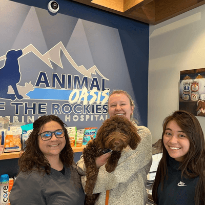 Thanks to IHDI partner Animal Oasis Of the Rockies