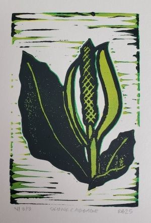 Skunk Cabbage #1