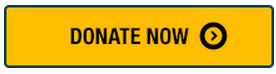 Donate Now button