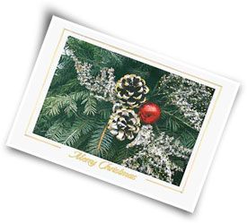 Click here to order your Holiday Cards